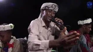 الشاعر عمار دوس افراح ال كرداد