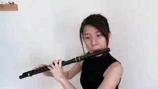 Shostakovich violin concerto flute solo with plastic flute (nuvo student flute)
