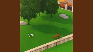 Stable Footing