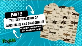 Identification of Damselflies and Dragonflies (Part 2) - RoAM Talks