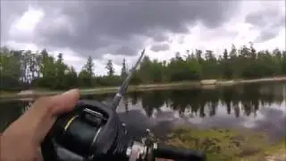 I Lost My PB Bass...