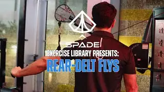 REAR DELT FLY (CABLE - D-HANDLE) - TECHNIQUE DEMONSTRATION // SPADE.FIT EXERCISE LIBRARY