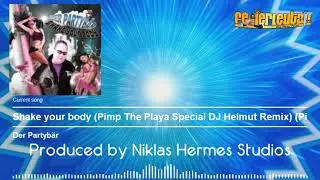 Der Partyb&auml;r - Shake your body (Pimp The Playa Special DJ Helmut Remix)