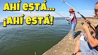 Pejerrey a boya: caña al límite.