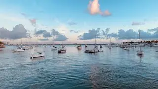 Lush Green Miami Beach 4K morning Ocean Walk w Sharkmama - Sunset Harbor & Venetian Islands