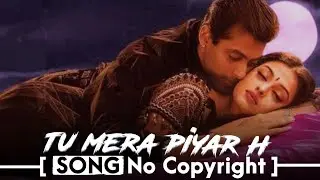 Tu Mera Pyaar H Non Copyright Romantic Song | Salman Khan Aishwarya Rai Royalty Free Hindi Love Song