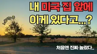 미국일상🇺🇸ㅣ아마존 화장대 조립하기ㅣ미국에서 차려먹는 집밥ㅣ식탁 조립ㅣ매일 장만 10만원치 보는 일상ㅣ영어 공부ㅣ우리 집 앞은 대자연ㅣ집에서 샤브샤브ㅣ미국스타벅스ㅣ드디어 소파 도착