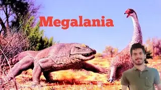 #animal art #animal lover # the megalania  ( the ancient  lizard) 