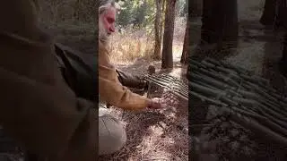 Bird Trap Bait Stick #survival #primitiveskills #bushcraft #caveman #donnydust #traps #foodie