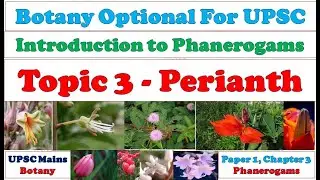 Perianth: Structure: Types: Functions: Importance: Role in Pollination : Botany Lectures: UPSC Mains