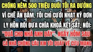 Chồng Ném 500 Triệu Đuổi Tôi Ra Đường Vì Chê Ăn Bám. Tôi Cười Nhạt Ký Đơn Ly Hôn Rồi Đưa Chìa Khóa