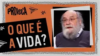 O que &eacute; a vida, Demi Getschko?