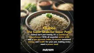 🚨🐾 Boost Your Pet's Strength Naturally! 🚨🐾  #shortvideo