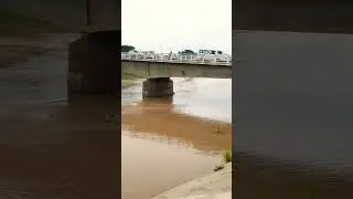 The young boys jumping in the  Sangkea River.
