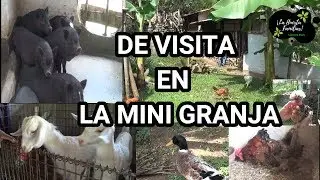 VISITANDO MINI GRANJA DEL SR ARENAS
