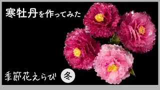 寒牡丹を作ってみた 〜ワイヤーとアクリル樹脂で作るアートフラワー〜【季節花えらびシリーズ（冬）】Handmade flowers production process 