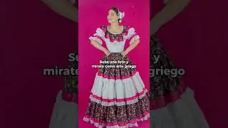 vestido de sinaloa mestizo #folklorico  #danzafolklorica #balletfolklorico #sinaloamestizo #folklore