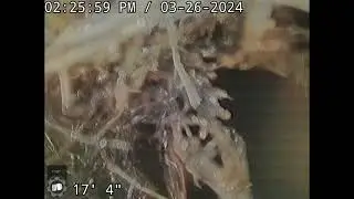 e249