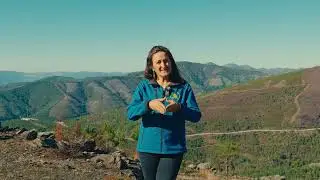 Projeto Criar Bosques - Medidas pós-incêndio