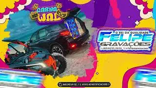 XAND AVI&Atilde;O 2K25 - REPERT&Oacute;RIO NOVO - FELIPE GRVC (GRAVA&Ccedil;OES)