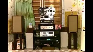 Buồn vào đêm TUẤN VŨ