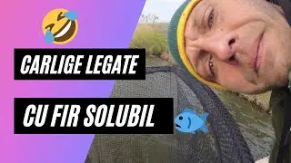 Povestirile lui Coco - Montura solubilă, o dedicație pentru 