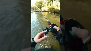 #salmon #salmonrun #river #riverfishing #salmonfishing #savage #glider #fishing #fyp