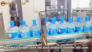 WIN-WIN PACK Pick & Place Case Packer | Four-Case Synchronous Packing for Daily Necessities