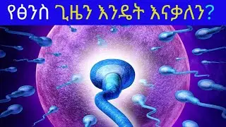 Part 5 : How to determine fertilization period/የፅንስ ጊዜን እንዴት እናዉቃለን?