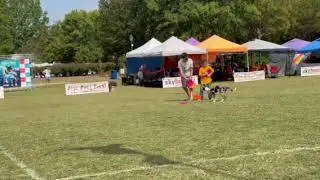 2025 Finn & Eden with Neverland Pairs Freestyle