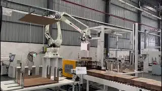Auto Robot Palletizer System - Double Section Stacking