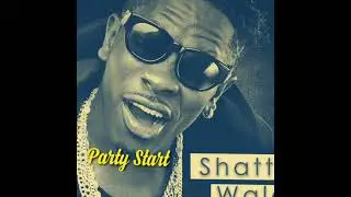 Shatta Wale - Party Start ( Official audio)