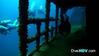 Scuba Diving St Thomas - WIT Shoal short - DiveHDV