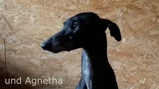Angekommen - Antia und Agnetha