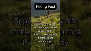 Discover the World's Forests: Hiker's Paradise