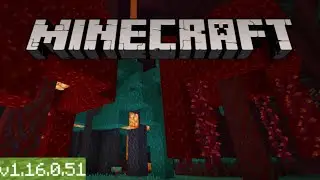 ОБЗОР НОВОЙ ВЕРСИИ MINECRAFT PE 1.16.0.51 НА ТЕЛЕФОН