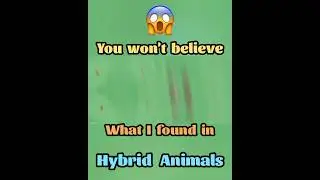 What I Found in Hybrid Animals Will BLOW YOUR MIND! #HybridAnimals #Gameplay #Animals #Minecraft