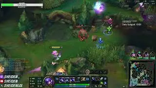 Sheiden shows the RANK1 gameplay with kindred