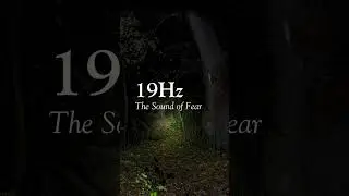 The Sound of Fear