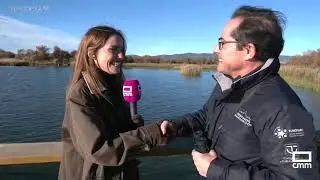 Vuelven las grullas como cada invierno