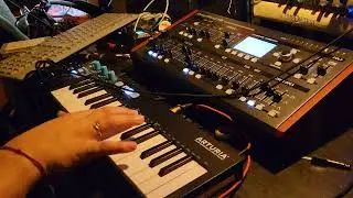 #1 Behringer Deepmind 12D Fourth Oscillator Shenanigans