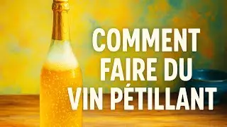 Comment Faire du Vin P&eacute;tillant Maison | Recette Facile et Naturelle