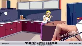 Wildlife Control Cincinnati | (513) 449-2213 | Cincinnati Exterminator