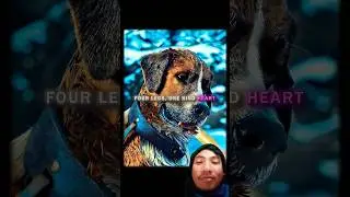 loyal dog to good job 😻#shorts #dog #good #job #loyal #gooddog #youtubeshorts