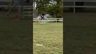 Sunday Grand Prix for Rosie! We placed 4th in a competitive class 🏅 Hope you like the raw videos 😅