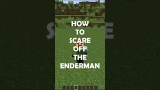 HOW TO SCARE OFF THE ENDERMAN - MINECRAFT HACKS, TIPS AND TRICKS - MINECRAFT 1.17 - 2021