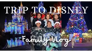 Family Trip to Disney! 🎆🏰✨