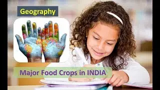 Major Food Crops in INDIA