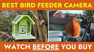 4 Best Smart Bird Feeder Cameras | Solar Powered With AI Bird Identification! 🐦🕊️