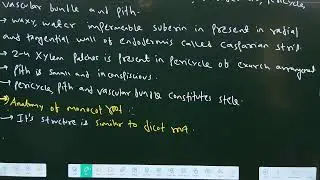 11th E.M Biology Class - 102 (L-02) Anatomy of Flowering plants